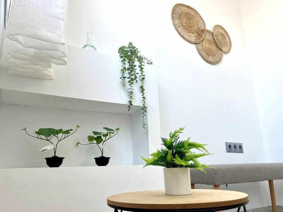 Apartamento Nuevo Centro Historico De מאלגה מראה חיצוני תמונה